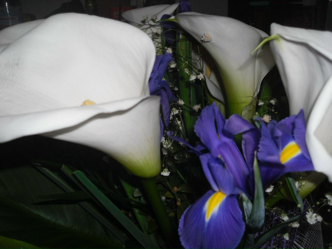 Валентина Быкова ☜(ړײ)☞ TINKA | Львов