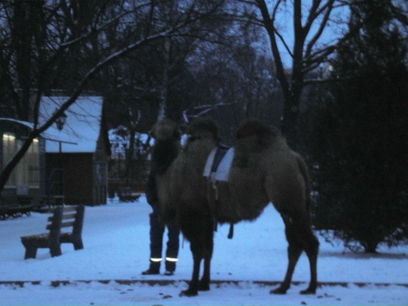 Тёма Сладкий | Кривой Рог