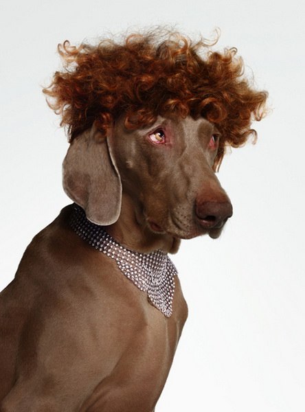 Анютик Кулакова | Москва