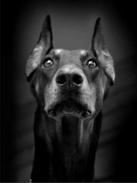 Стас Юрьевич 25/888 | Одесса