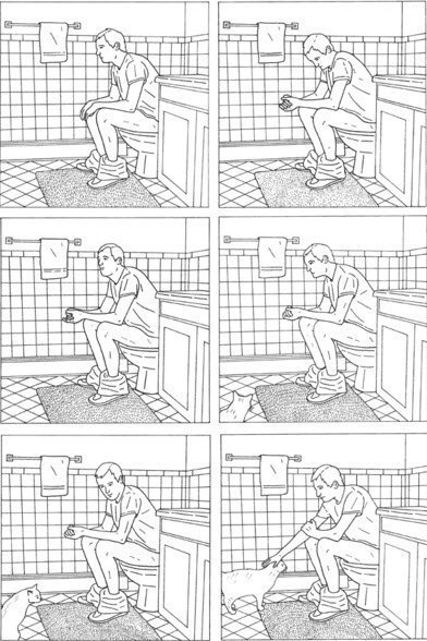 Ксения Баркова | Санкт-Петербург