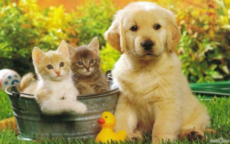 Марк Смирнов КЭП | Красноярск