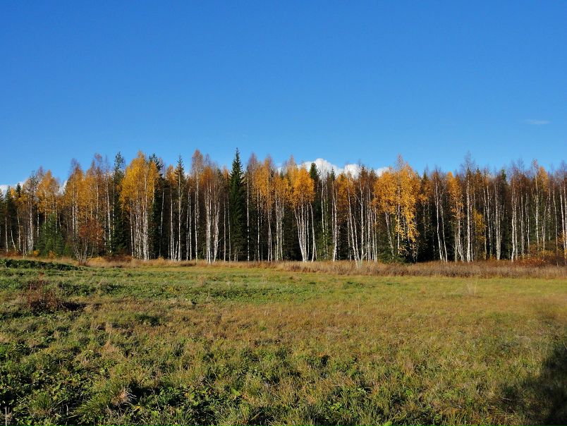 №100, Юрий Майстренко №100, Юрий Майстренко