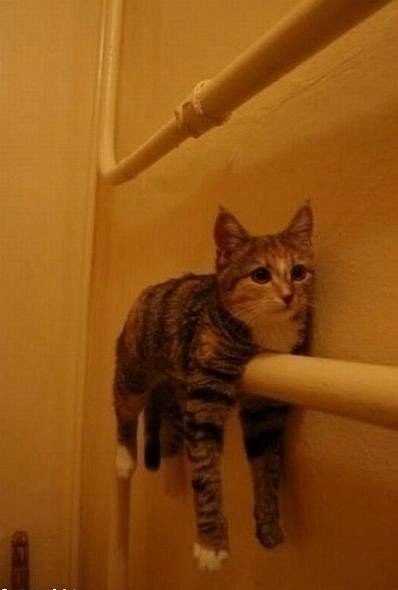 Kristinka Savlepova ツVyacheslavovna | Киев