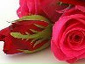 Кристина Петраш | Запорожье