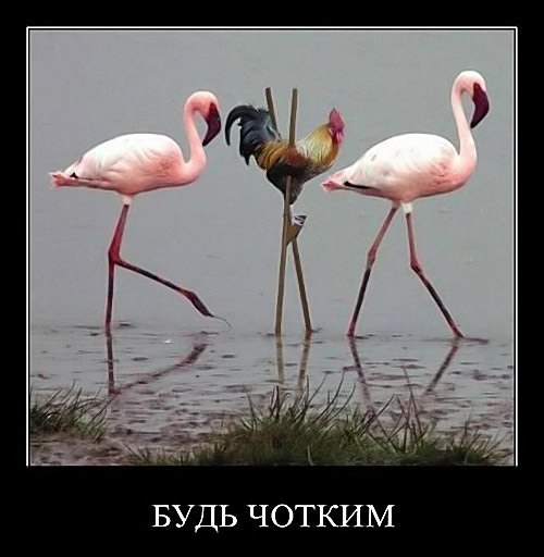 Дамир Бахтияров | Тюмень