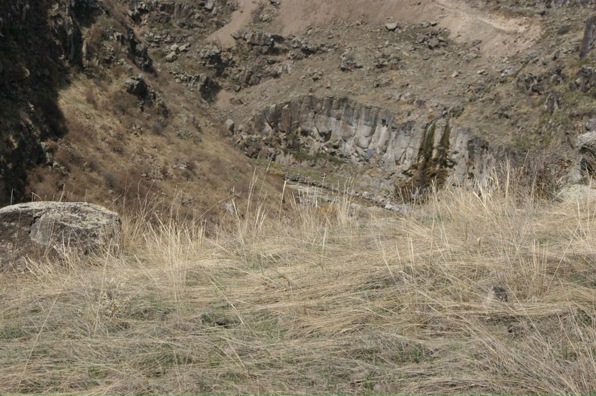 Вова Васильченко | Оренбург