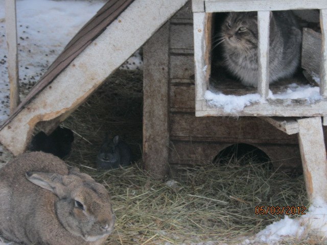 Александр Тарасов | Сергач