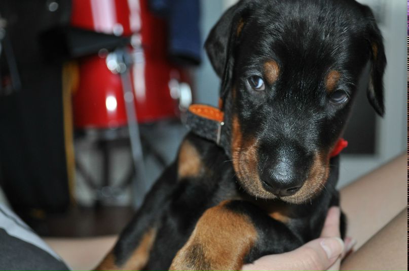 Андрей Волощук | Екатеринбург