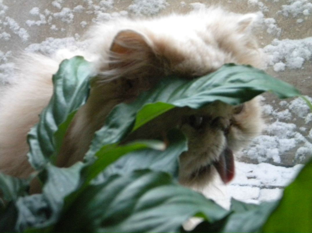 Андрей Брюховецкий | Харьков