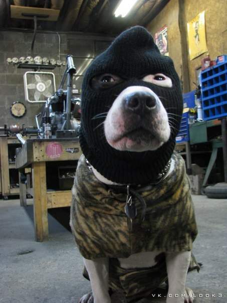 Ljosha Radchuck | Нахичевань