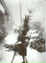 Фотография Twori Dobro