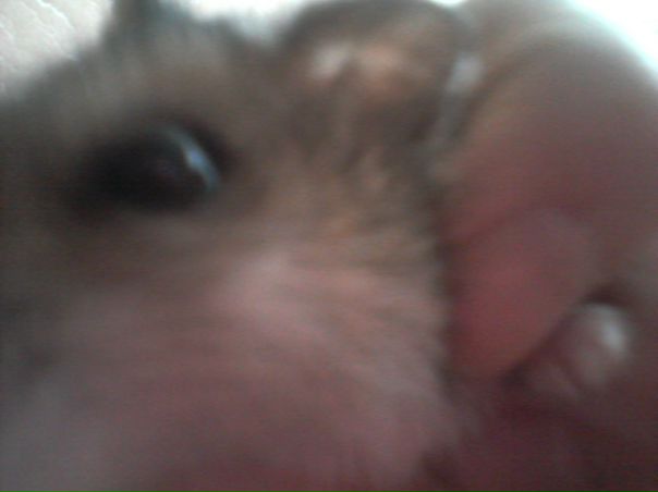 №1, Настя Брылина, Ульяновск №1, Настя Брылина, Ульяновск