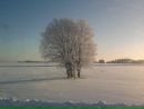 Фотография Станислав Викторович