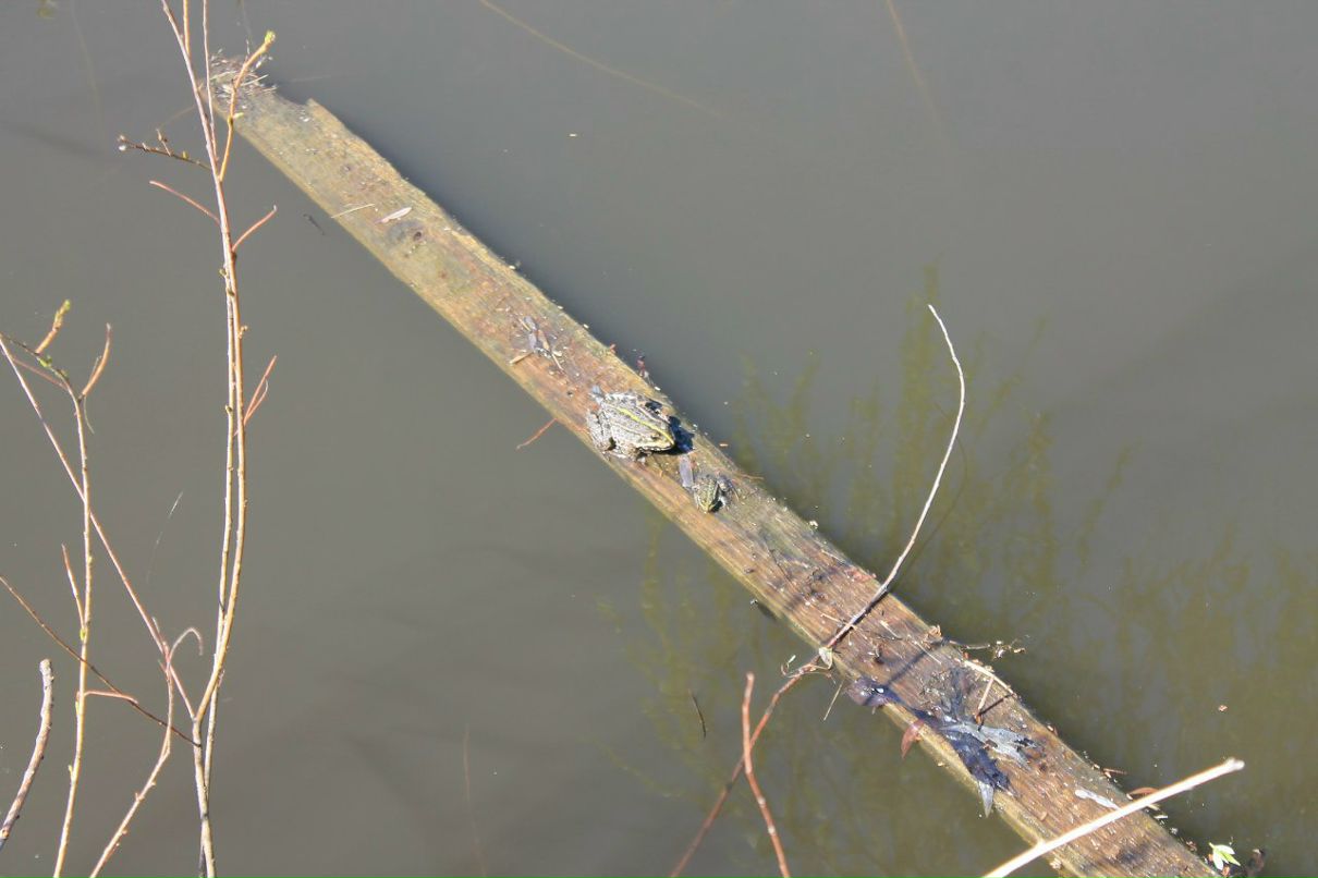 Владислав Краснобрыжий firevsk | Каменское / Днепродзержинск