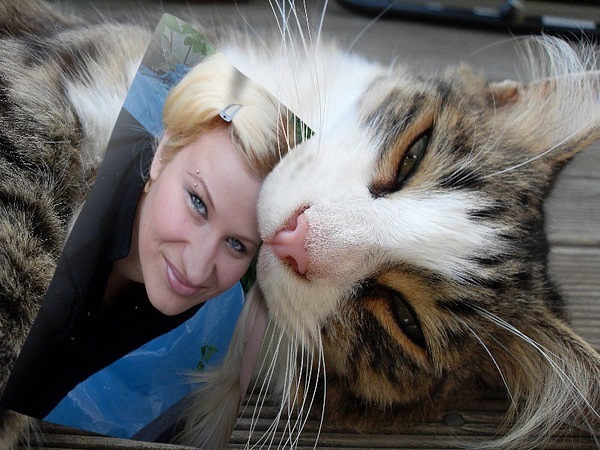 №4, Александра Повар №4, Александра Повар