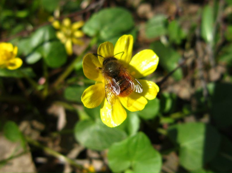 Анна Жукова | Волгоград