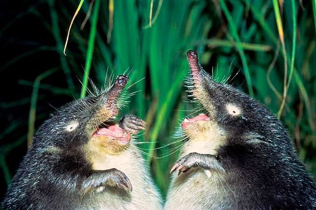 Катерина Ошерович | Львов