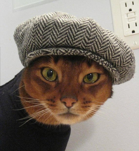 Александр Ивануса °•.:M@lu!:.•° | Червоноград