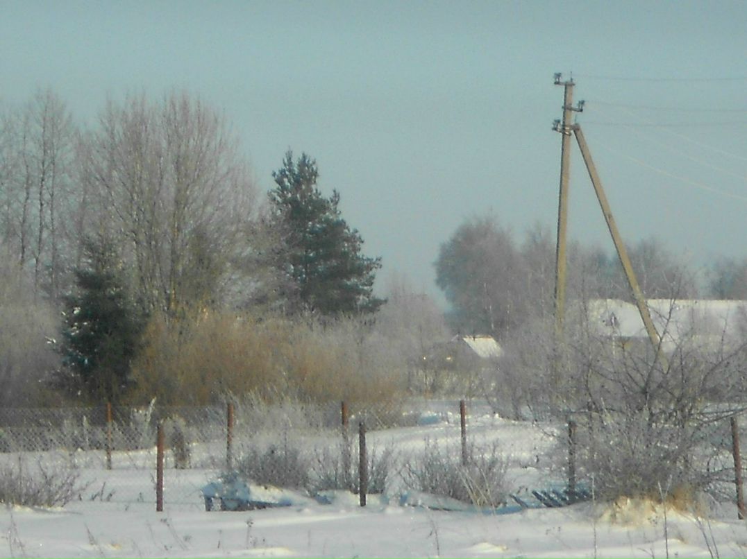 Наталья Прохорова | Олонец