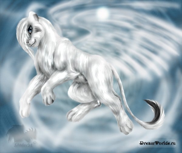 №7, Кристина Трофимова №7, Кристина Трофимова