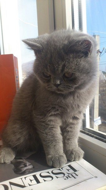 Артем Иванов | 