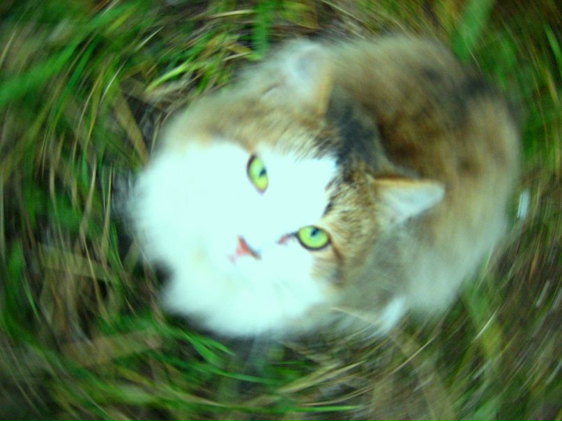 Сержо Спарченков | Санкт-Петербург