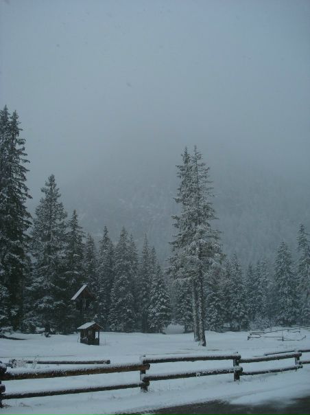 №87, Оля Краснова №87, Оля Краснова