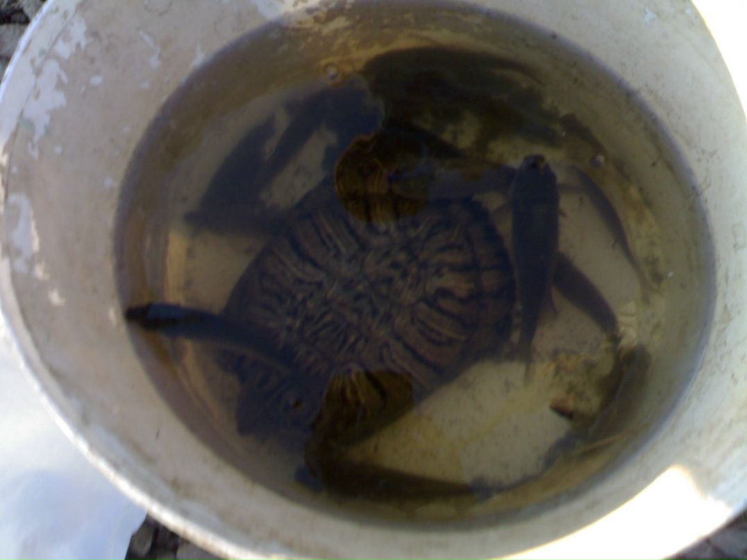 Алексей Шувалов | Санкт-Петербург