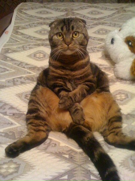 №1, Артём Корзинин №1, Артём Корзинин