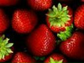 Назар Яремчук | Львов