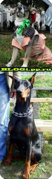 №18, Анастасия Мелешко, 31 год, Корюковка №18, Анастасия Мелешко, 31 год, Корюковка