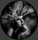 Фотография Елена Королькова