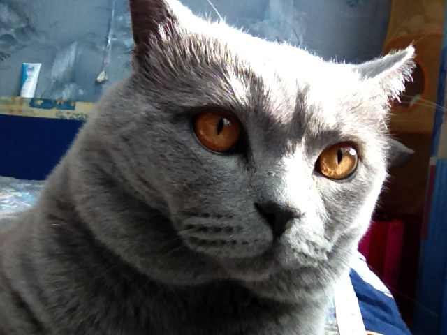 Катюша Букарина | Санкт-Петербург