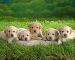 Яна Дзивульська фотография #9