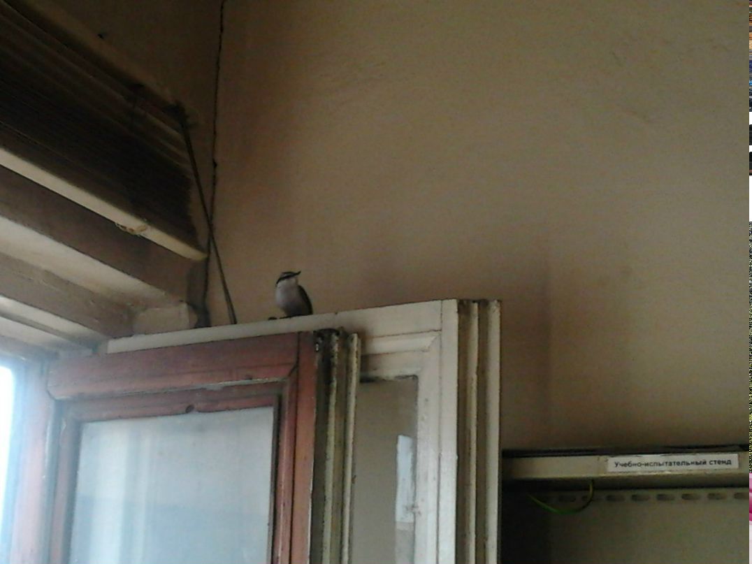 Владимир Шипулин | Краснотурьинск