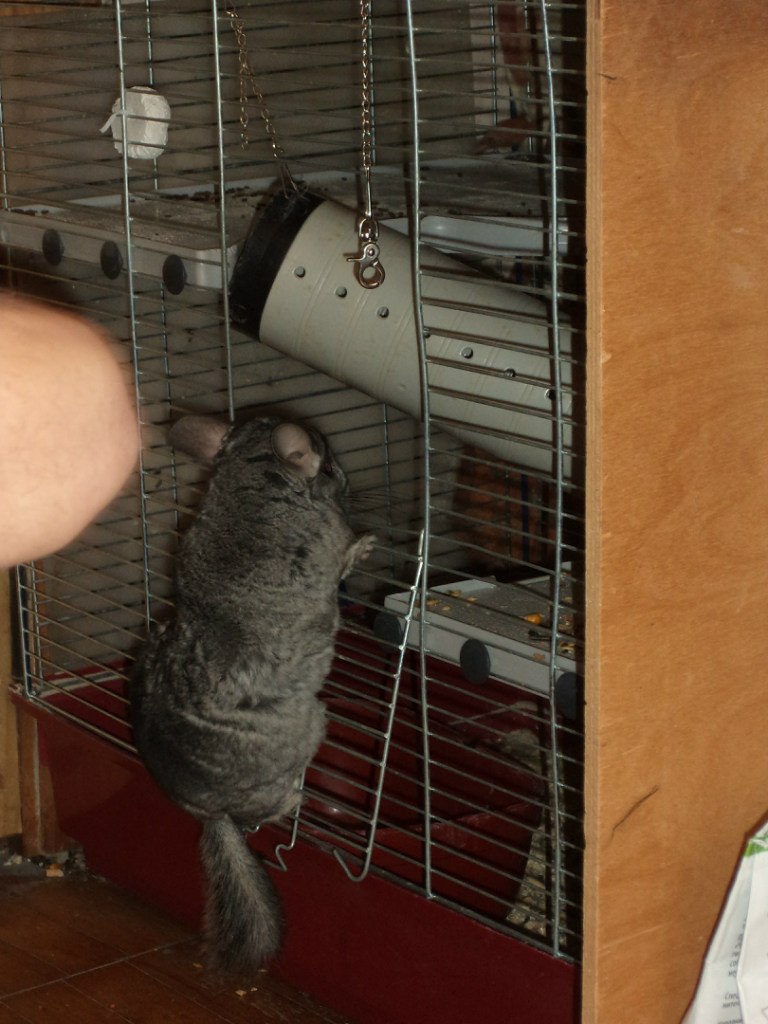 Ирина Сергеева | Пушкино