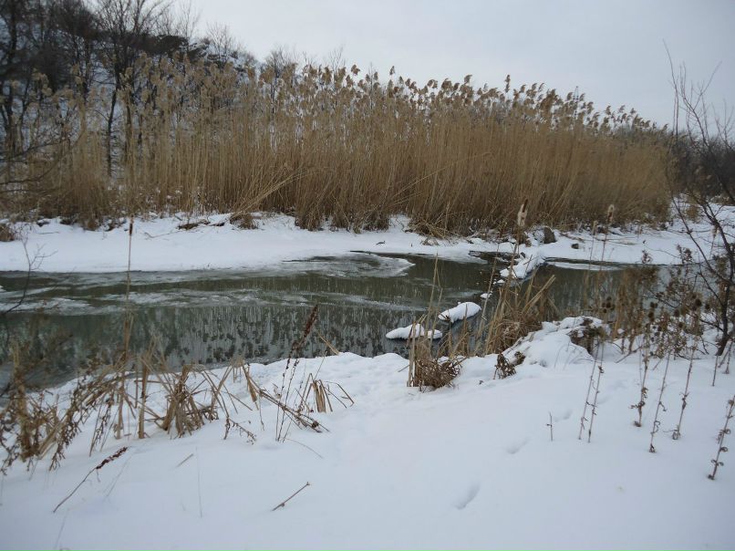 Дима Хачев | Донецк