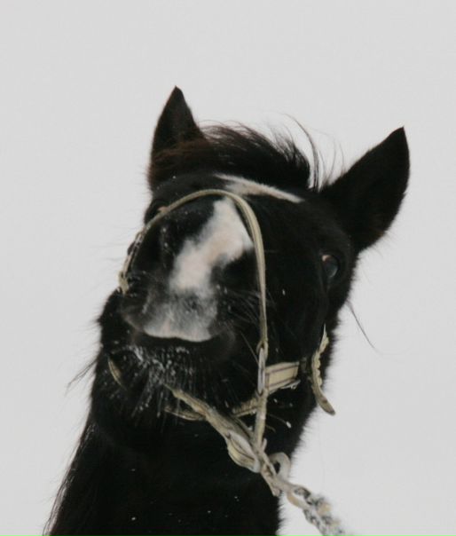 №19, Катенька Kitsune, Санкт-Петербург, Россия №19, Катенька Kitsune, Санкт-Петербург, Россия