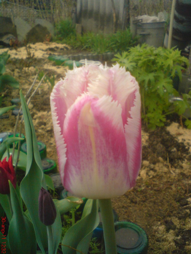 Алексей Гальцов | Славянск