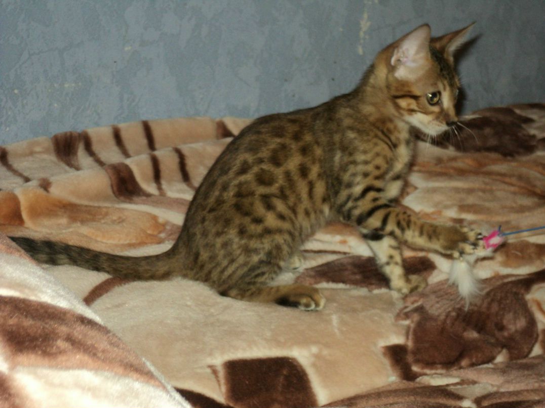 Алексей Самухин | Москва