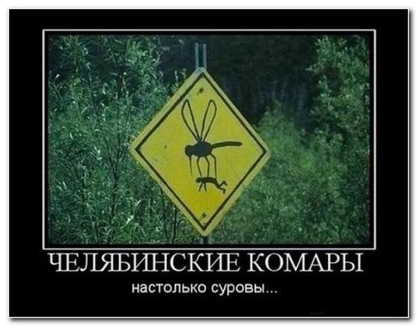 №39, Ярик Иванов, Ростов-на-Дону №39, Ярик Иванов, Ростов-на-Дону