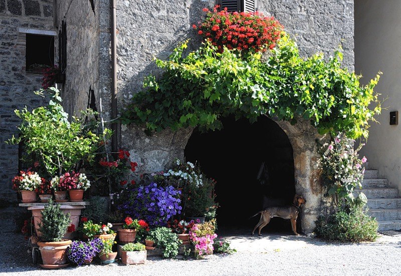 Наталия Ушакова | Санкт-Петербург