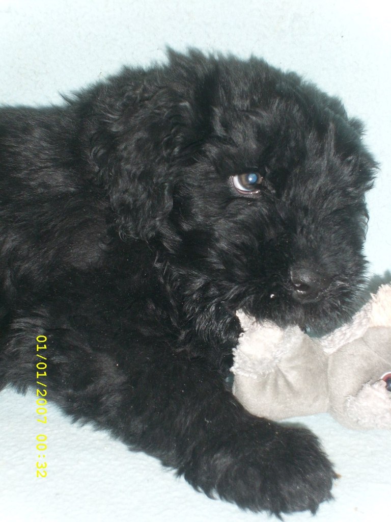 Катерина Колисниченко | Москва