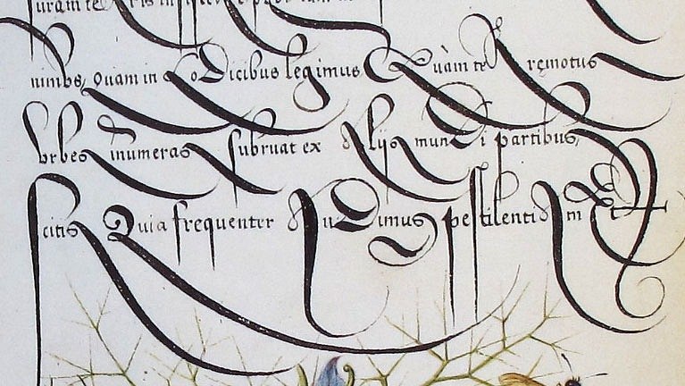 Тина Романова | Одесса