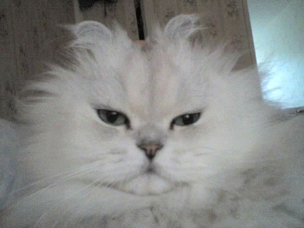 Алёна Важенина Vazhenka | Санкт-Петербург