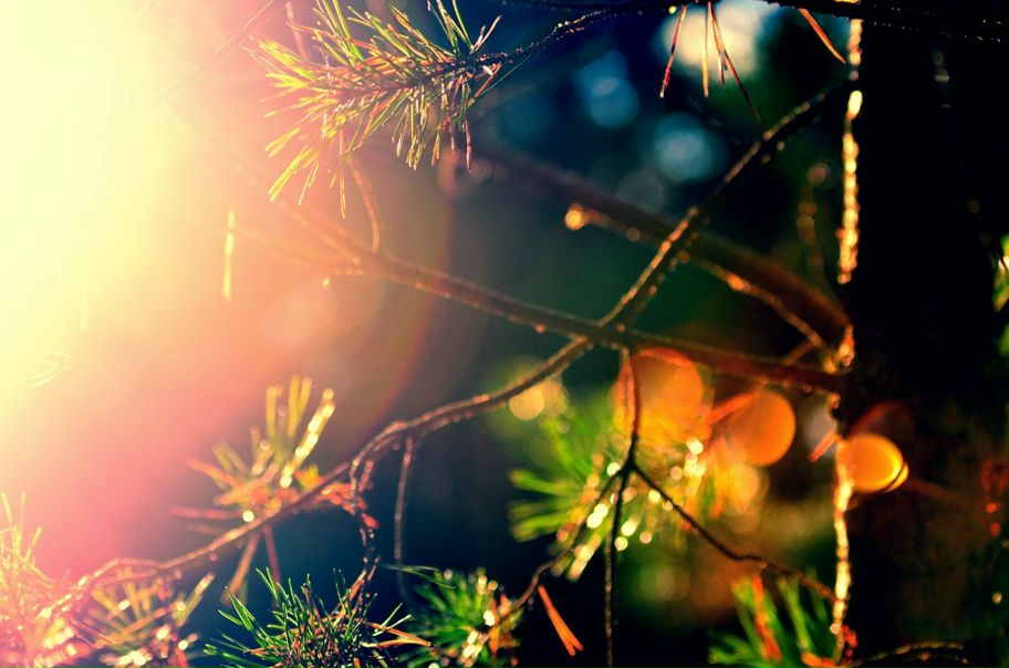 №18, Художник Настя Прерия, 43 года, Санкт-Петербург №18, Художник Настя Прерия, 43 года, Санкт-Петербург