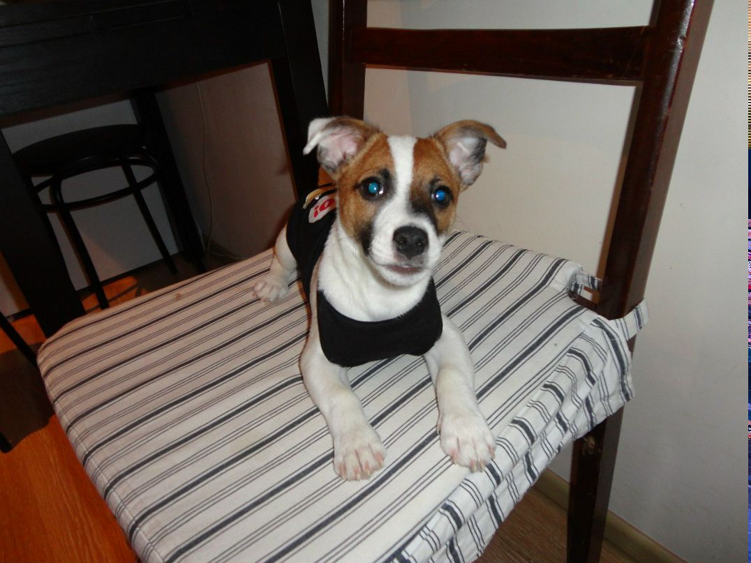 Алёна Зайцева | Саранск