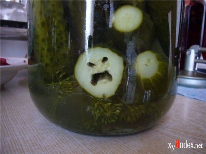 Андрей Кленяев 虎猫 | Москва