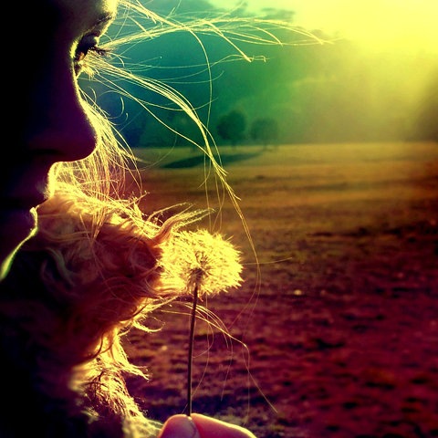 №2, Оля Кудревич №2, Оля Кудревич